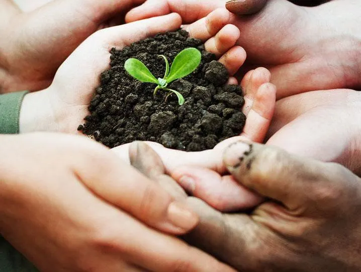 I often choose brands or products that…